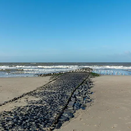 Duinland 190, 5-guest With Garden Sint Maartensvlotbrug