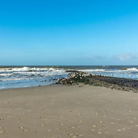 Dom wakacyjny Duinland 190, 5-guest With Garden