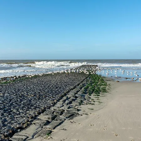 Duinland 190, 5-guest With Garden Sint Maartensvlotbrug