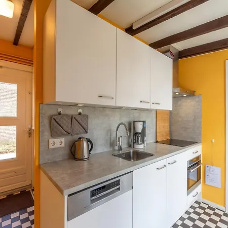 Duinland 190, 5-guest With Garden *